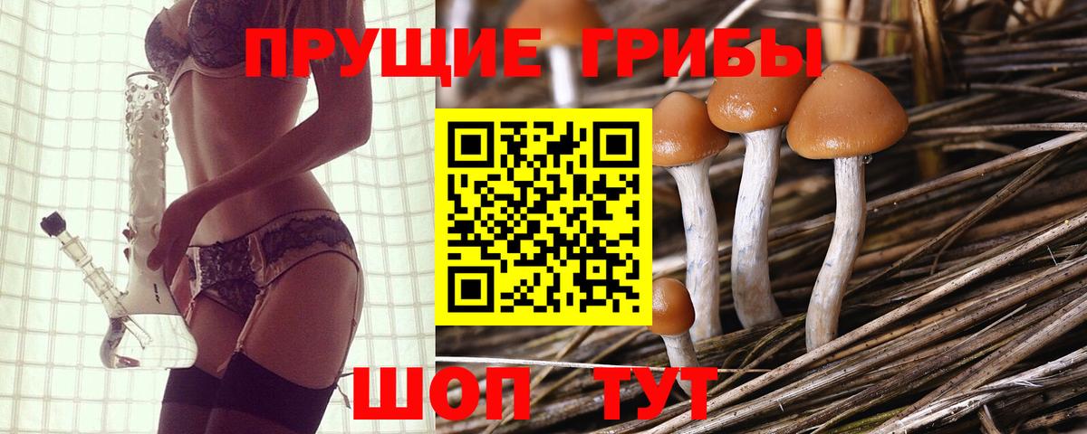 Ростов Великий  Галлюциногенные грибы MAGIC MUSHROOMS  Вход с VPN 