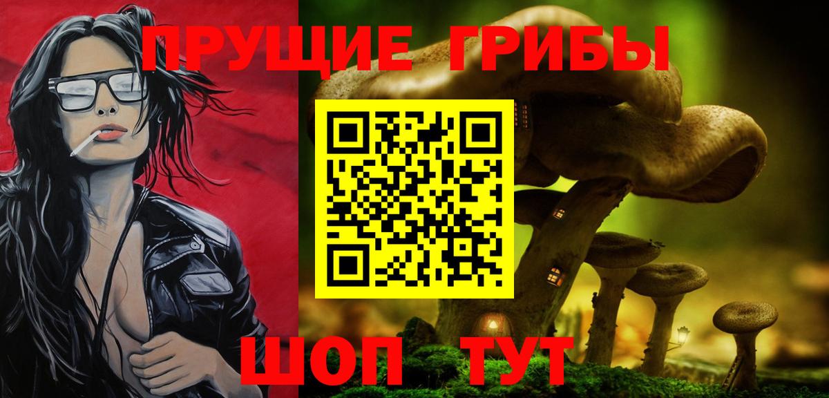 Галлюциногенные грибы прущие грибы Ростов Великий